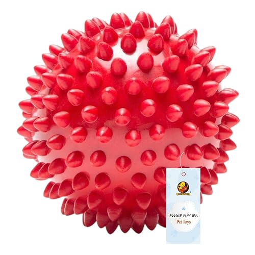 Foodie Puppies Natural Rubber Spike Ball - 2.8inch/ 7cm | Suitable for Small to Medium…