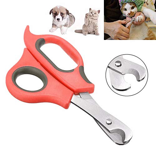 Sage Square Dog Nail Cutter Scissor Color Multicolor, Red Blu Blck - Premium Stainless…