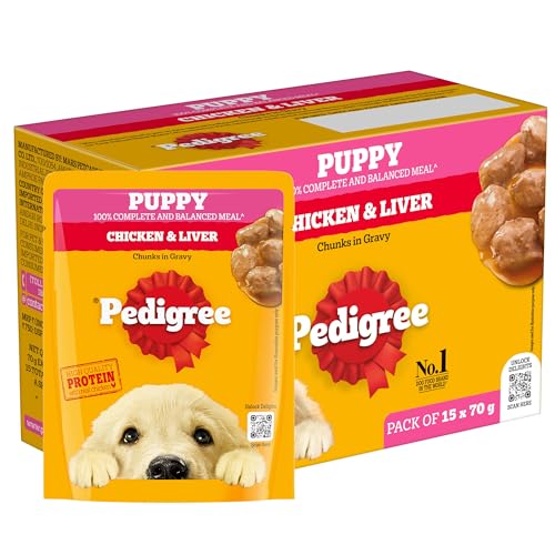 Pedigree Puppy Wet Dog Food, Chicken Chunks in Gravy, 70 g (Pack of 15)