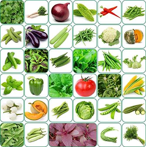 Aero Seeds Vegetable Seeds Bank For Home Garden 35 Varieties - 2170+ Seeds