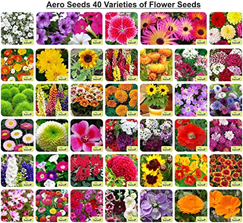 Aero Seeds 40 Varieties of Flower Seeds Combo For Your Garden Beautiful Bloom Germinati…