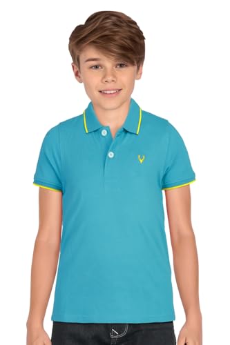 Allen Solly Boys Regular Fit Polo Tshirt(ABKPERGFH73855_sky blue15 - 16 Years)