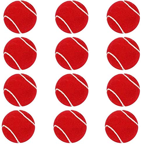 AMIFIT Light Weight Tennis Ball | Perfect for Recreational Sports, Cricket and Kids, Pa…