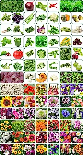 Aero Seeds 85 Varieties of Flowers, Vegetable & Herbs Seeds for Kitchen Garden - 5000+…