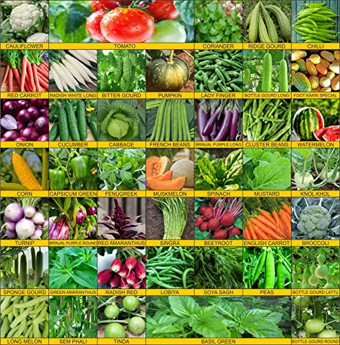 Agrey 45 Varieties of Vegetable Seeds 2665+ High Germination Seeds For Your Garden With…