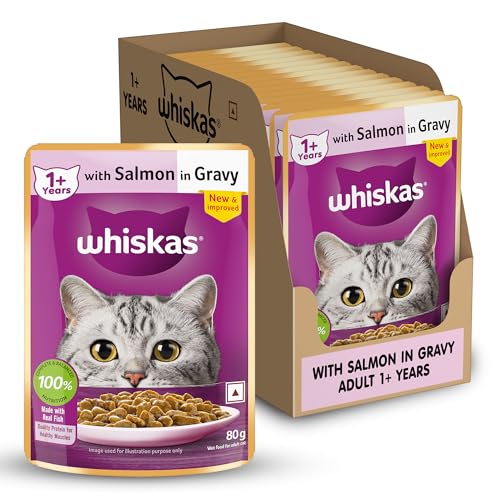 Whiskas Adult (1+ Years) Wet Cat Food, Salmon in Gravy, 80 g (Pack of 14), Hydrating Fo…