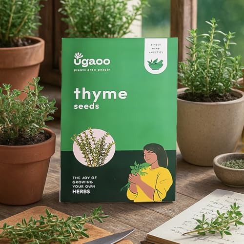 UGAOO Thyme Herb Seeds (Green, Pack of 800)