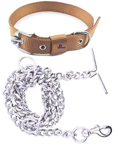RvPaws Combo Nylon Dog Belt - 1 Inch Collar with Heavy Dog Chain 63 Inch Lengthy Dog Co…