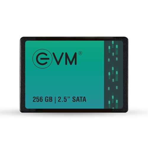 EVM 256GB SSD - 2.5 Inch (6.35 CM) SATA Solid-State Drive - Faster Boot-Up and Load Tim…