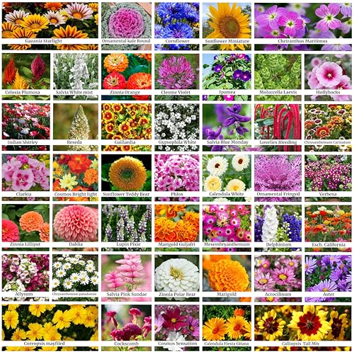 ONLY FOR ORGANIC 45 Variety Of Flower Seeds With Instruction Manual