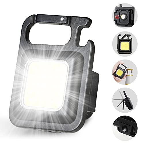 jeegol DOTCOM LED Mini Cob Keychain and Magentic Flashlight Portable USB Rechargeable L…