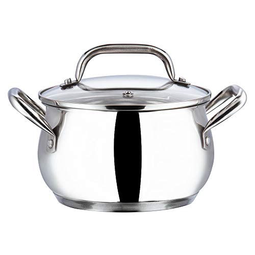 Vinod Stainless Steel Cooking Pot with Glass Lid, SAS Base - 4 L, 20 cm