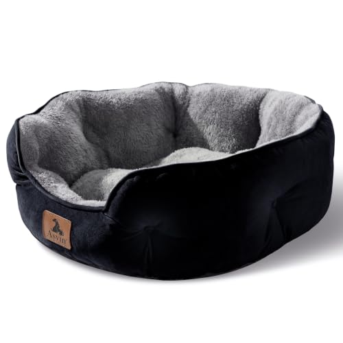 Asvin Medium Dog Bed for Medium Dogs, Large Cat Beds for Indoor Cats, Pet Bed for Puppy…