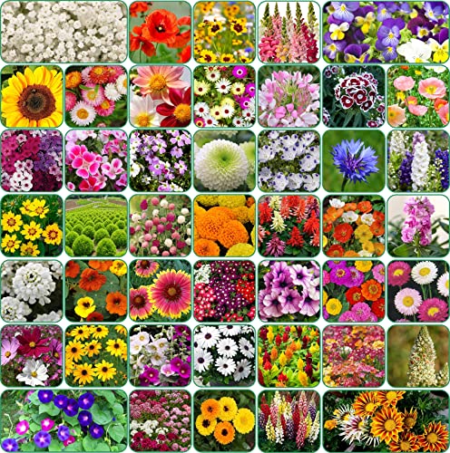 Aero Seeds 45 Variety Of Flower Seeds Combo Pack With Instruction Manual.