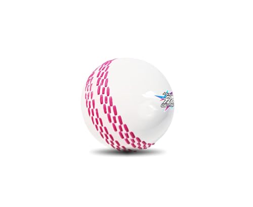 jaspo T-20 Ultra Practice Cricket Ball/Wind Balls (125-130 GMS) for - Indoor & Outdoor…