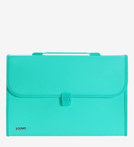 Amazon Brand - Solimo Plastic Expanding File Folder with 13 Pockets, Handle, and Buckle…