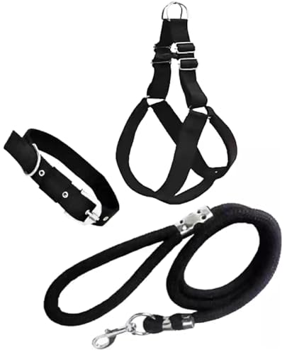 Agirav No Pull Dog Harness - Step in Dog Harness and Leash for Small Medium Large Dog -…