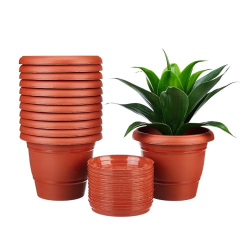 Amazon Brand - Solimo Round Pots for Plants with Bottom Tray|Lightweight|Indoor and Out…