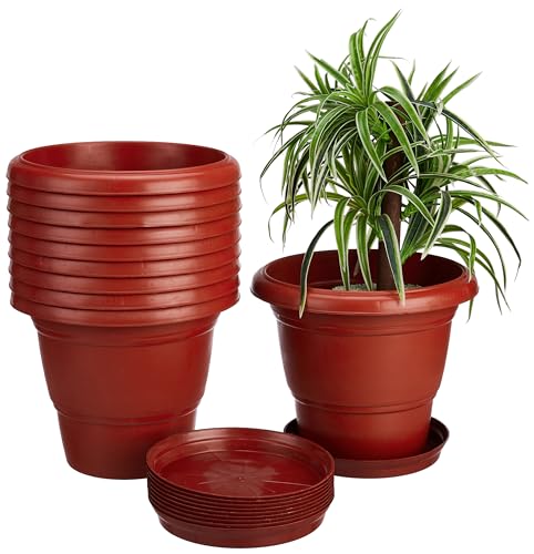 Amazon Brand - Solimo Round Pots for Plants with Bottom Tray |Modern Design| Indoor&Out…