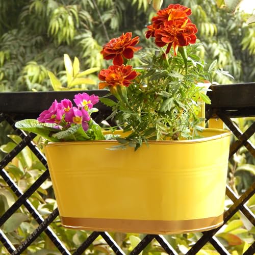 ecofynd 12 Inches Aurelia Railing Planters for Balcony, Hanging Pots for Plants, Wall H…