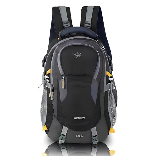 Wesley Spartan Unisex Travel Hiking Laptop Bag fits Upto 17.3 inch with Raincover and I…