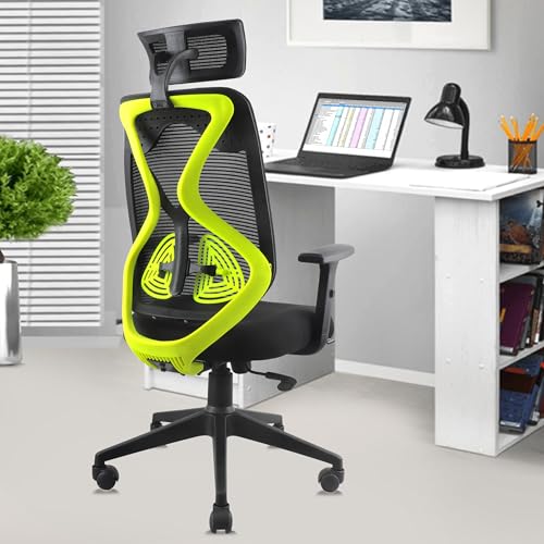 ASTRIDE Ergofit Ergonomic Office Chair for Home | 3-Years Warranty | 2D Headrest, Adjus…