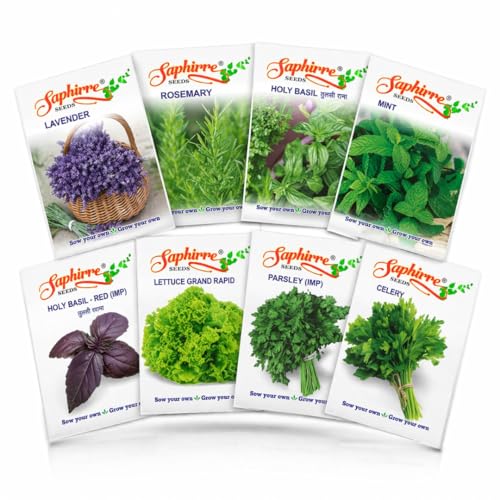 Saphirre Seeds Herb Seeds Combo Pack | 8 Varieties | 950+ Seeds | Rosemary, Mint, Laven…