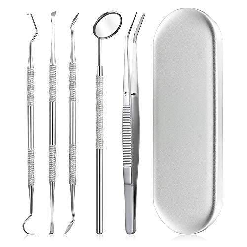 HANNEA 5 Pcs Dental Kit, Stainless Steel Teeth Cleaning Tools, Storage Box
