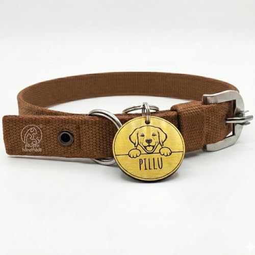 Pawpro Adjustable Nylon Dog Collar with Secure D-Ring from Small - Medium to Large Bree…