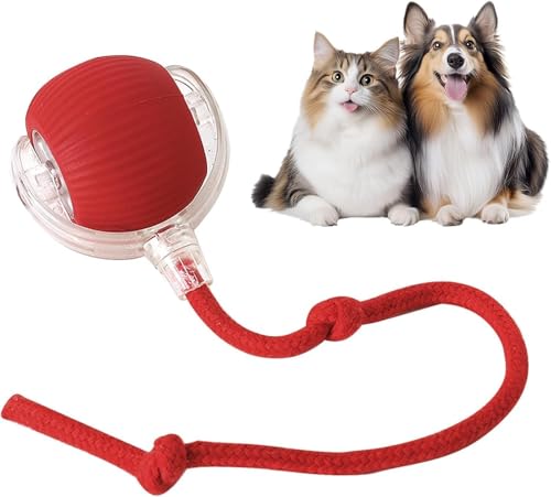 MDM HUB Interactive Cat Ball Toy with Rope Tail, Smart Rolling Ball for Indoor Cats and…