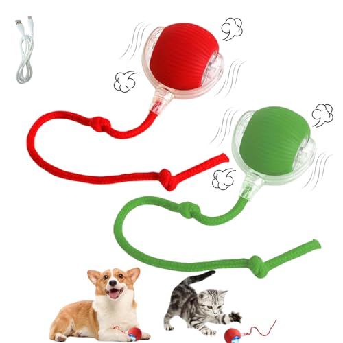 Paw N Pet Interactive Automatic Cat Ball - 360 Degree Rotatable Toys Rechargeable Rotat…