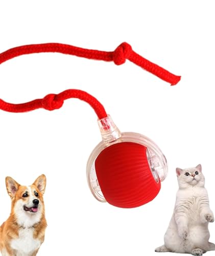 CTN Enterprise Cat Toys Ball – Smart Rolling LED Ball, Automatic & USB Rechargeable Mot…