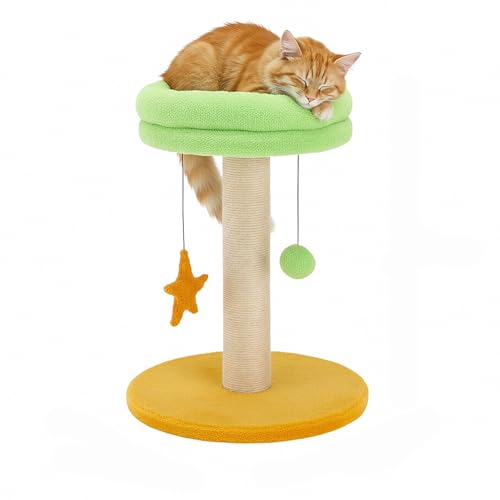 Amazon Basics Cat Scratching Pole and Lounge Bed, with Hanging Star and Ball, Natural J…