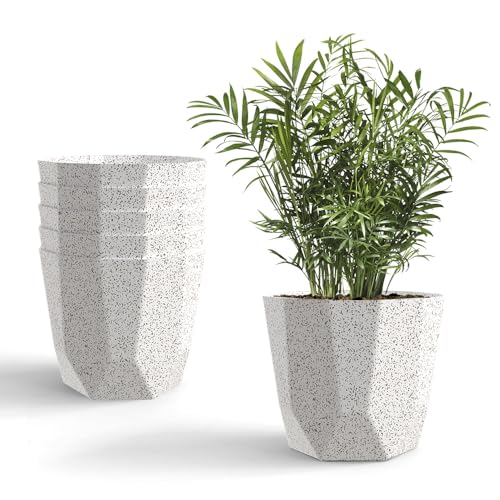 YUCCABE ITALIA SHERA Hexa Plastic Planter Pot for Plants Decorative Flower Pot UV Prote…