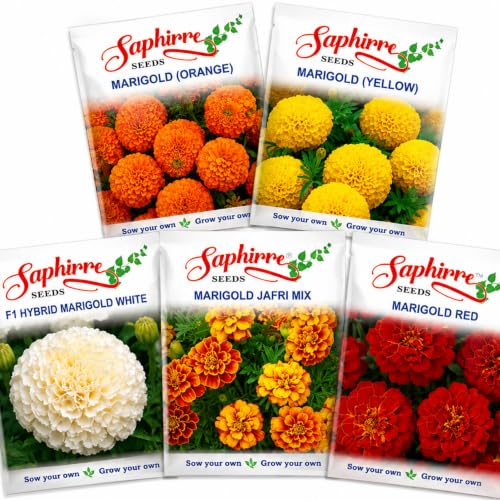 Saphirre Seeds Easy to Grow All Season Marigold Seeds Combo| Seeds for Home Garden | Ma…