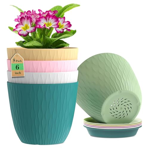 Eightiz (Pack of 5 6 Inch Plastic Flower Pots for Indoor & Outdoor Terrace,Garden Plant…