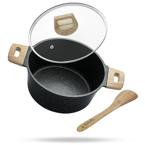 Lifelong Diecast Casserole 24 cm with Non-Riveted Wooden Handle, Glass Lid & Wooden Spa…