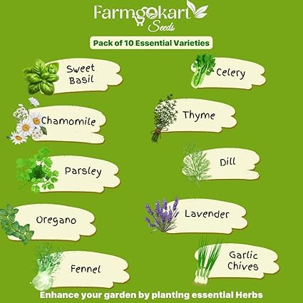 rootNrise Essential Herb Seeds Combo Pack, 10 Varieties Including Sweet Basil, Chamomil…