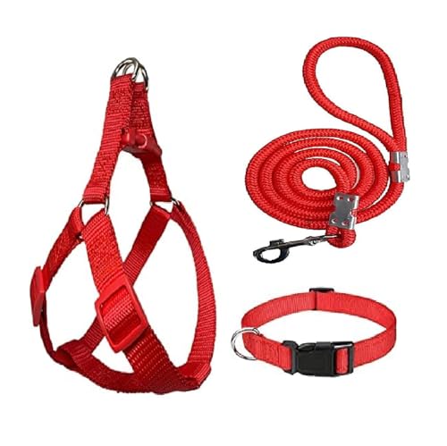 Agirav No Pull Dog Harness - Step in and Leash for Small Medium Large Dog - Escape Proo…