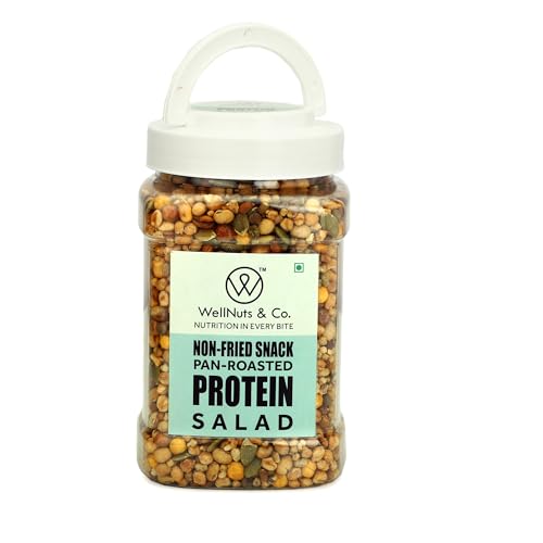 WellNuts & Co. Pan-Roasted Protein Salad Mix (450g) | Non-Fried Healthy Snack | High Pr…