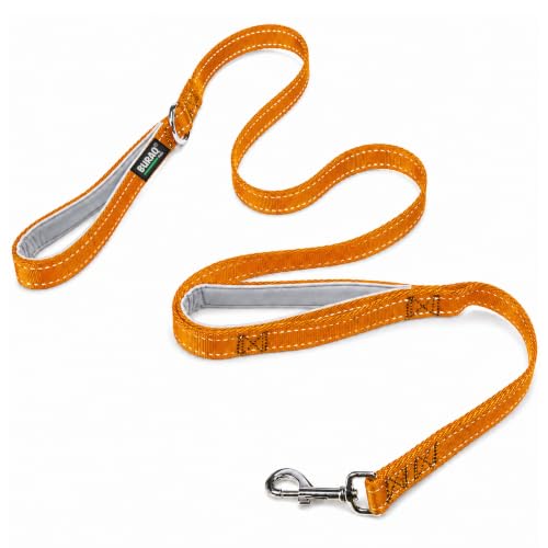 Buraq Pets 6FT Double Handle Dog Leash Reflective Padded Grip