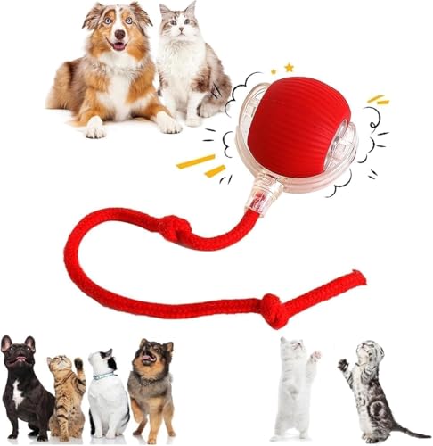 THE CLOTHING DOOR Smart Interactive Rolling Ball Dog Toy | Automatic 360° Moving Pet To…