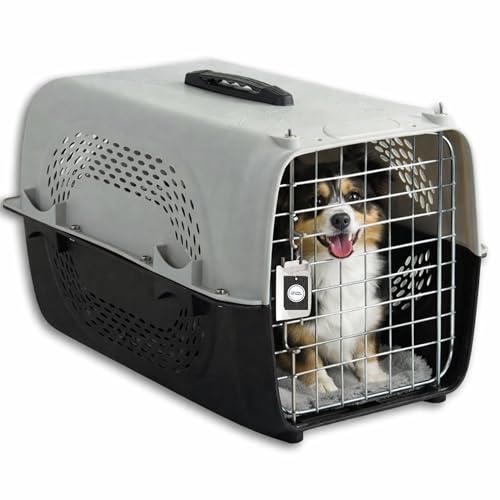 Little Needs Pet Travel Carrier for Cats and Small Dogs (Grey, 49 x 33 x 31 cm) | Porta…
