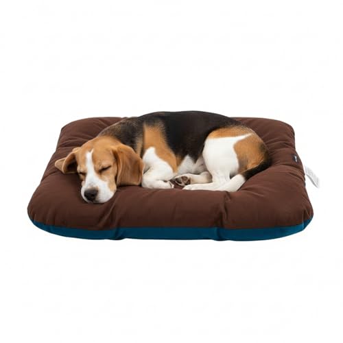 Amazon Basics Pet Bed | Medium| Reversible Premium Velvet Pet Bed for Cats & Small/Medi…