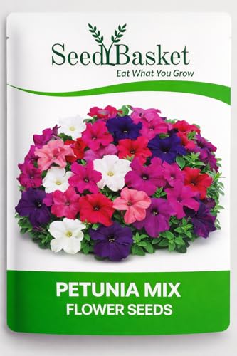 SeedBasket Petunia Mix Flower Seeds| 200 Seeds | for Home Gardening | Multicolor Petuni…