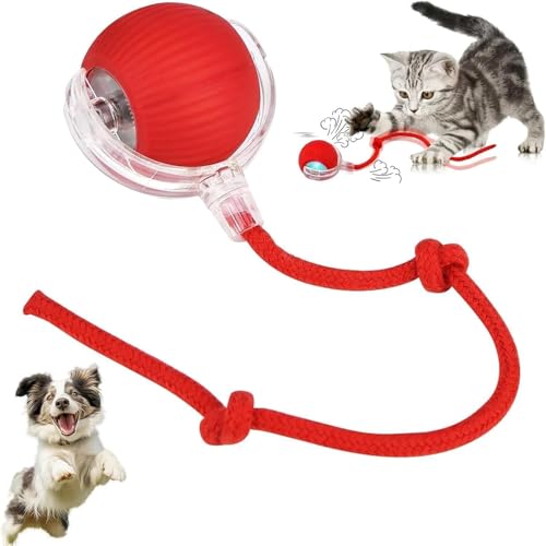 Interactive Rolling Chewie Ball for Cats & Dogs