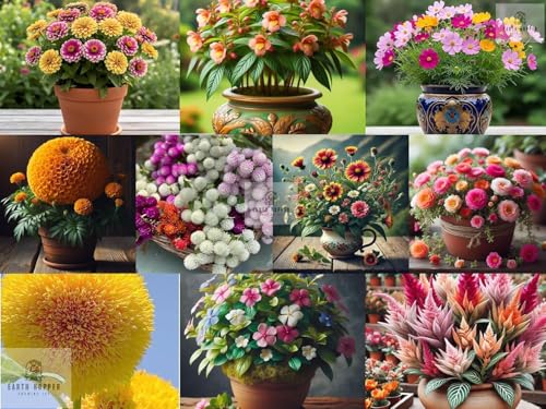 Low Maintenance Hybrid Flower Seeds Combo Pack- All Year Flower Seeds Supply (10 VARIET…