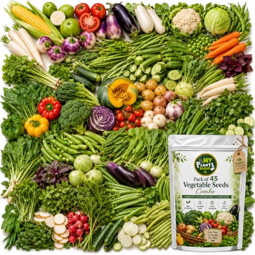 All Season Veg Seeds Combo – 45 Variety Pack | 2700+ Seeds | High Germination | Kitchen…