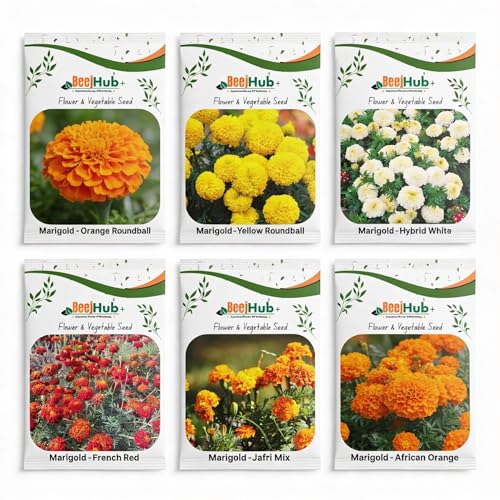 Marigold Flower Seed | 6 Varieties | 50+ Seeds Each Variety | All Season | Flower Seed…