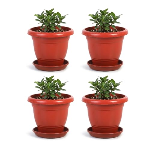 Bonkaso 12 Inch Plant Pots with Drainage Plate (Set of 4, Red) | Heavy Duty Plastic Flo…